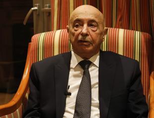 Turkish Cypriot PM slams Greek sides cooperation with Haftar