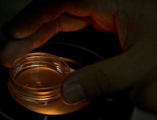 China convicts 3 researchers involved in gene-edited babies