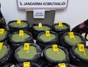 More than 200 kg of marijuana seized in eastern Turkey