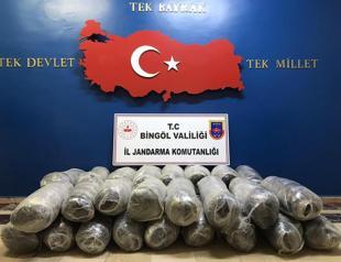 More than 647 kg of marijuana seized in SE Turkey