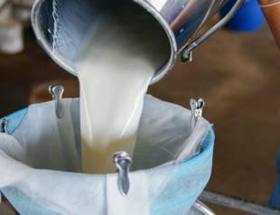Turkey collects nearly 728,000 tons of cow milk in November