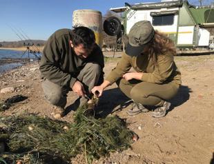 Ghost net kills dozens of wild ducks and hundreds of fish in Lake Sapanca