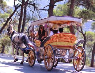 Electric cars to replace carriages on Princes’ Islands