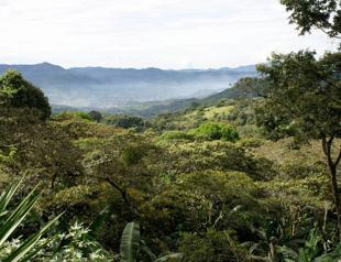Deadly attack on indigenous community in Nicaragua