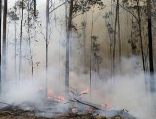 State of emergency declared as bushfire threatens Australian capital