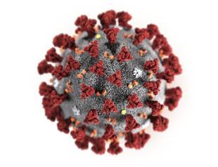 The global spread of the coronavirus: Where is it