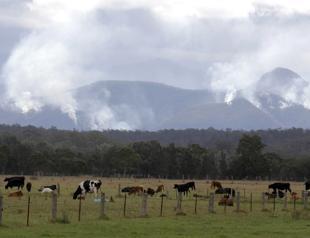 Australias capital braces as hot, windy conditions fuel bushfires