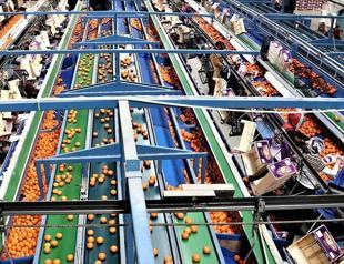 Russia may buy Turkish food products replacing Chinas