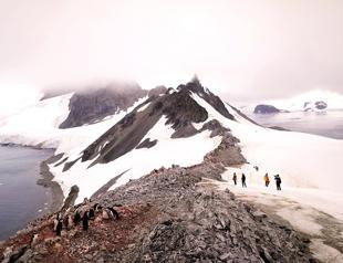 Local activism at the heart of fight against global heating