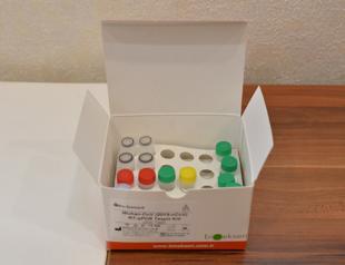 Turkey to export coronavirus diagnostic kit