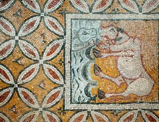 Black Seas Zeugma to be archeological site