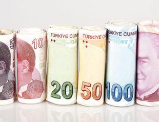 Turkeys budget posts $3.6 bln surplus in January