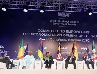 Angel investments amount to $102 mln in 2019