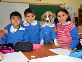 Rescued puppy attends classes in village school dressed in uniform