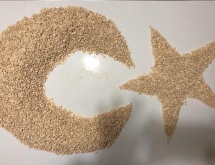 Over 30,000 drug pills seized in southern Turkey