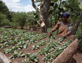 Turkey gives $650,000 for Ugandan agricultural project