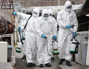 China urges overseas Chinese to stay away as imported virus cases rise