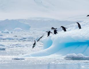 Turkish scientists hunt for secrets of Antarctica