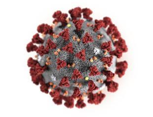 How it spreads, infects: Coronavirus impact comes into focus