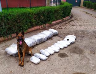 Police seize 50 kg of marijuana in southern Turkey