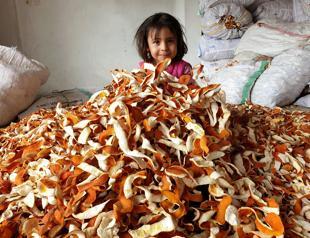 Villagers turn orange peels into income