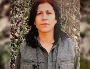 Senior PKK terrorist neutralized in N Iraq