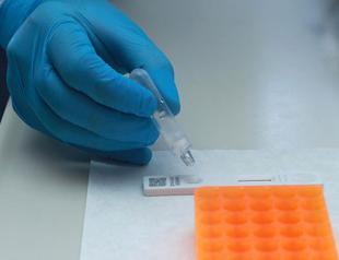 Turkey promotes quick kits for virus