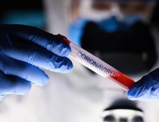 Coronavirus death toll up by 15 to 59, with 561 new cases