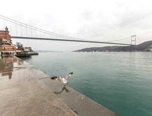 ‘COVID-19 pandemic may ease in two months if measures implemented’