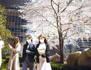 S Korea controls COVID-19 outbreak without any lockdown: Envoy