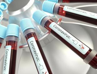 Turkeys coronavirus deaths up to 214, with 13,531 total cases: Minister