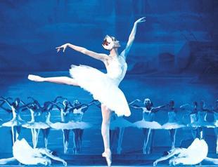 How many Bolshoi nights in two coronavirus weeks