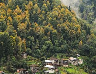 Turkey’s forest coverage increases