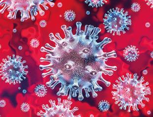 COVID-19 infects more than half a million in US