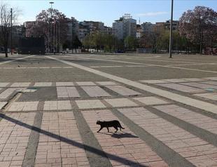 Turkey to continue with weekend curfews