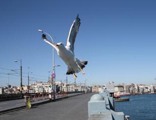 Turkey may ease restrictions early June