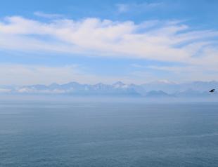 Air pollution declines in major cities