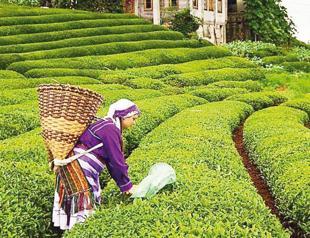 Turkey restricts travel from Istanbul to Black Sea region