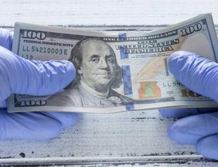 $100 mln from World Bank to bolster Turkeys virus fight