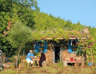 ‘Dairy Philosopher’ to make home-made films for YouTube