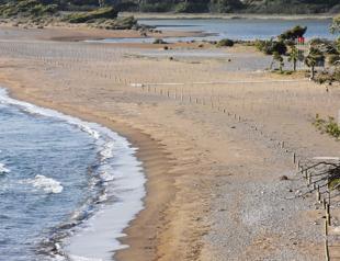 İztuzu beach welcomes Caretta carettas