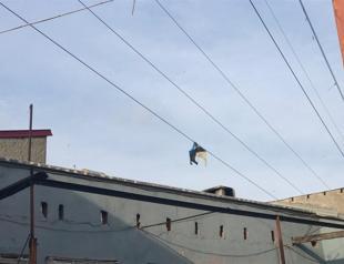 Kites no longer flying over Turkey’s Adana due to power outage risks