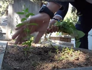 Cemetery visits go online in days of pandemic in Turkey’s Antalya
