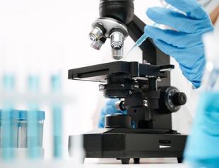 Results from sample virus tests expected in two weeks