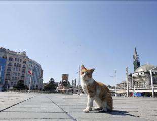 Turkey imposes weekend virus curfew in 24 provinces