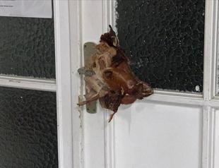 Turkey condemns vandalism in German mosque