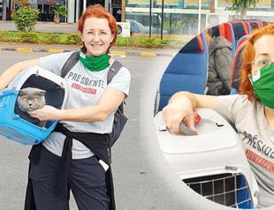 Cat allowed on flight in cabin as owners were stranded in Tanzania