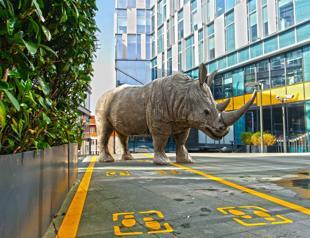 Istanbul artist uses rhinos to raise awareness