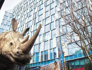 Artist uses rhinos to raise awareness