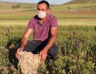 Meteorite found in Çorum on sale